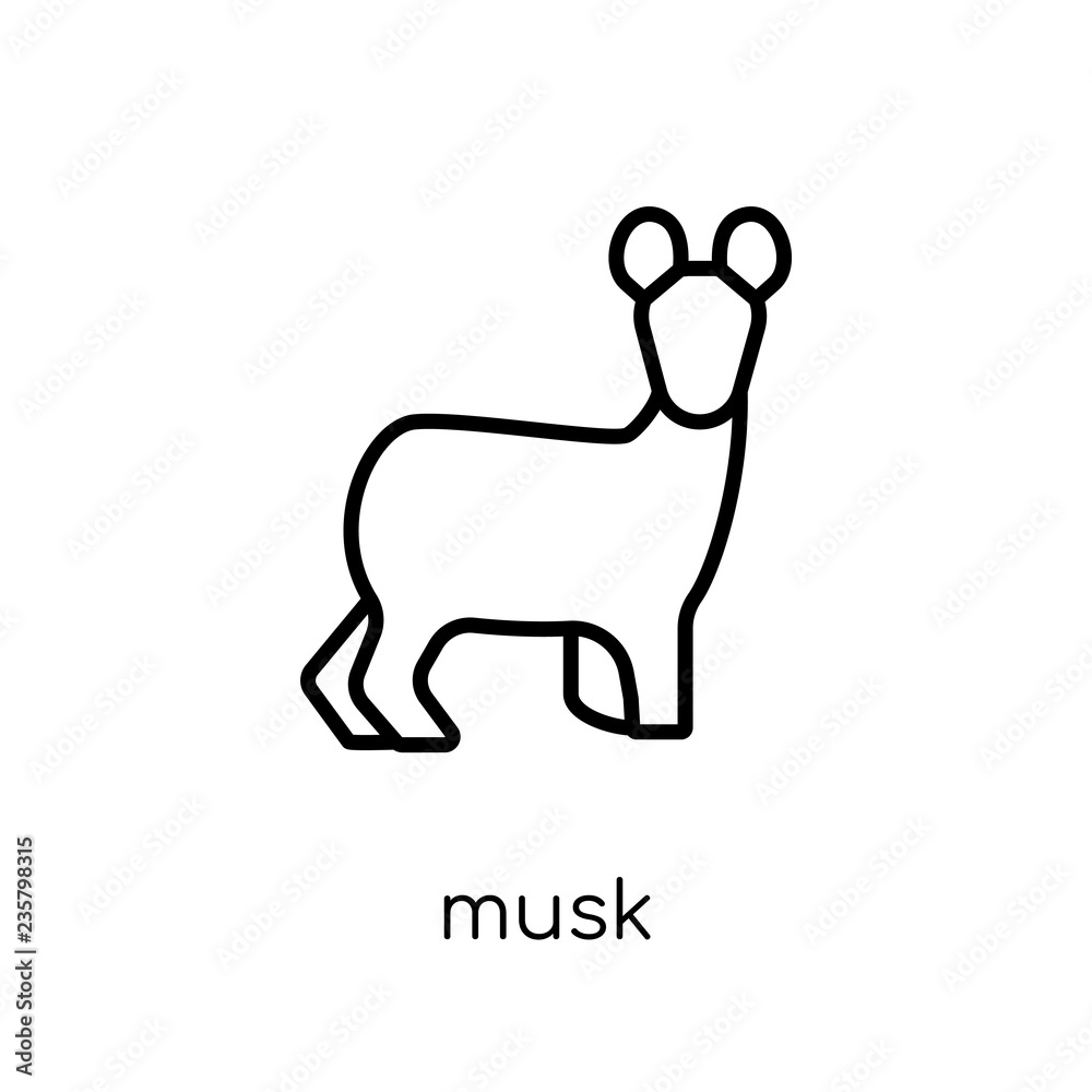 Musk icon. Trendy modern flat linear vector Musk icon on white background from thin line animals collection Musk icon. Trendy modern flat linear vector Musk icon on white background from thin line animals collection