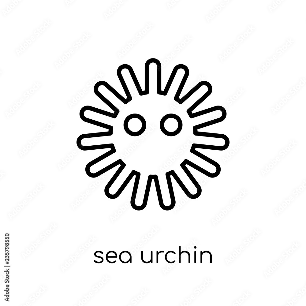 Fototapeta premium Sea urchin icon. Trendy modern flat linear vector Sea urchin icon on white background from thin line animals collection