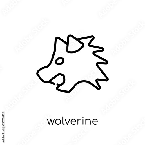 Wolverine icon. Trendy modern flat linear vector Wolverine icon on white background from thin line animals collection