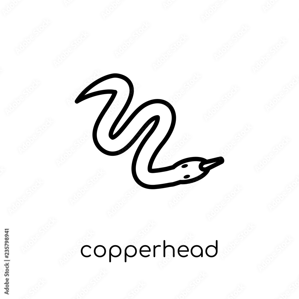 copperhead icon. Trendy modern flat linear vector copperhead icon on white background from thin line animals collection copperhead icon. Trendy modern flat linear vector copperhead icon on white background from thin line animals collection