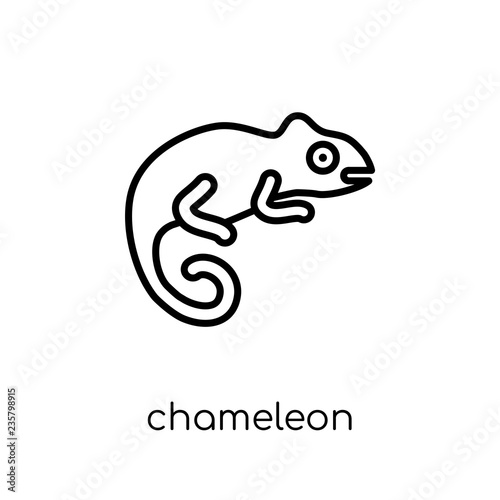 Chameleon icon. Trendy modern flat linear vector Chameleon icon on white background from thin line animals collection