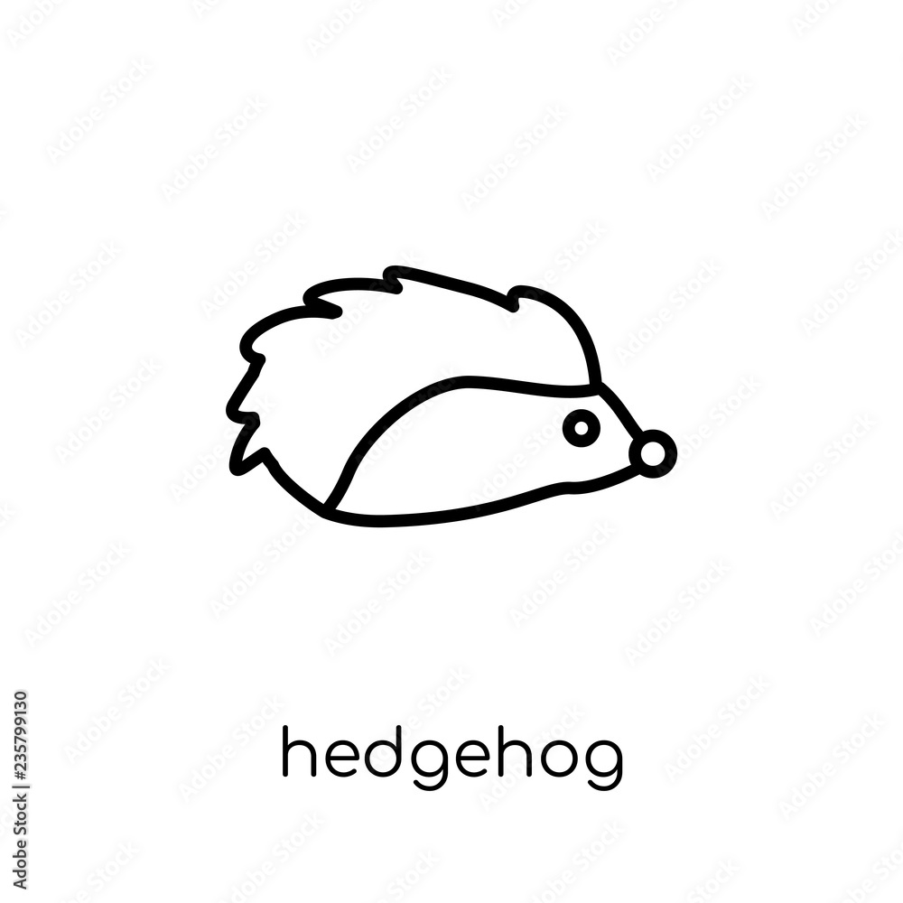 Obraz premium Hedgehog icon. Trendy modern flat linear vector Hedgehog icon on white background from thin line animals collection