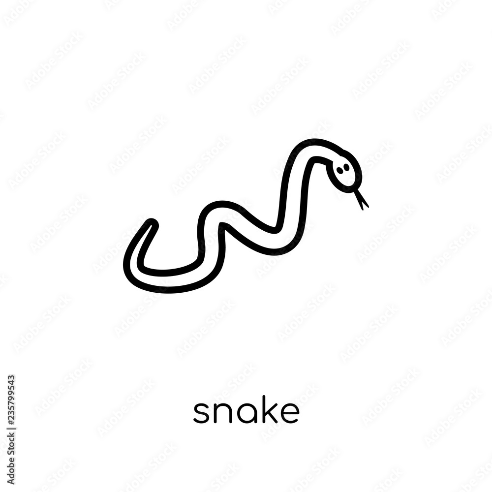 Snake icon. Trendy modern flat linear vector Snake icon on white background from thin line animals collection Snake icon. Trendy modern flat linear vector Snake icon on white background from thin line animals collection