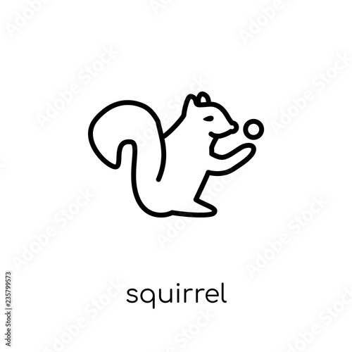 Squirrel icon. Trendy modern flat linear vector Squirrel icon on white background from thin line animals collection