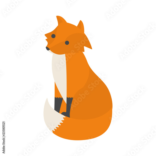 Fox animal with red fur