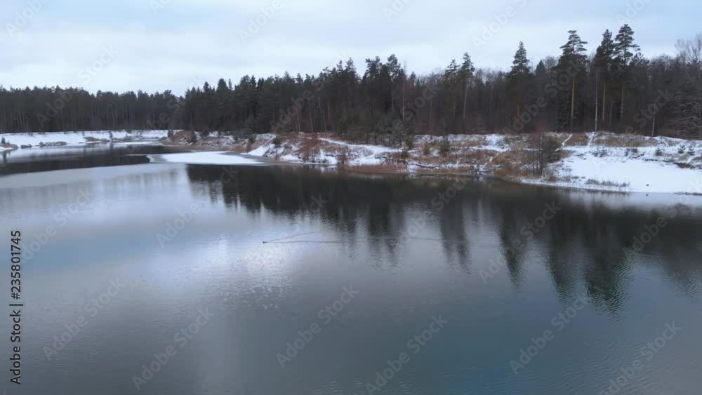 Aerial view. The lake in the winter forest. Duck is swimming on a winter lake. Flying over a not frozen lake in cloudy winter weather. Lake surrounded by snow. 4K Aerial view. The lake in the winter forest. Duck is swimming on a winter lake. Flying over a not frozen lake in cloudy winter weather. Lake surrounded by snow. 4K