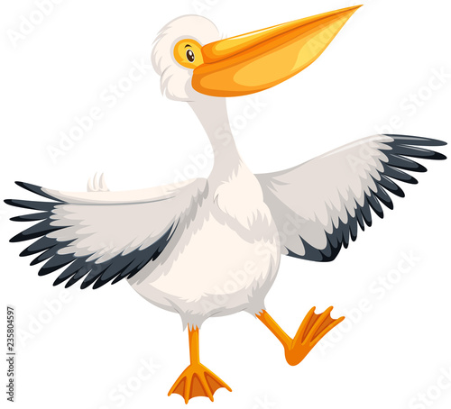 Pelican character on white background