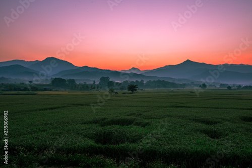 The background of Lanscape (fields, mountains, fog, trees) with intimate view. And fresh in the sight of the journey, light wallpaper of the sun in the morning.