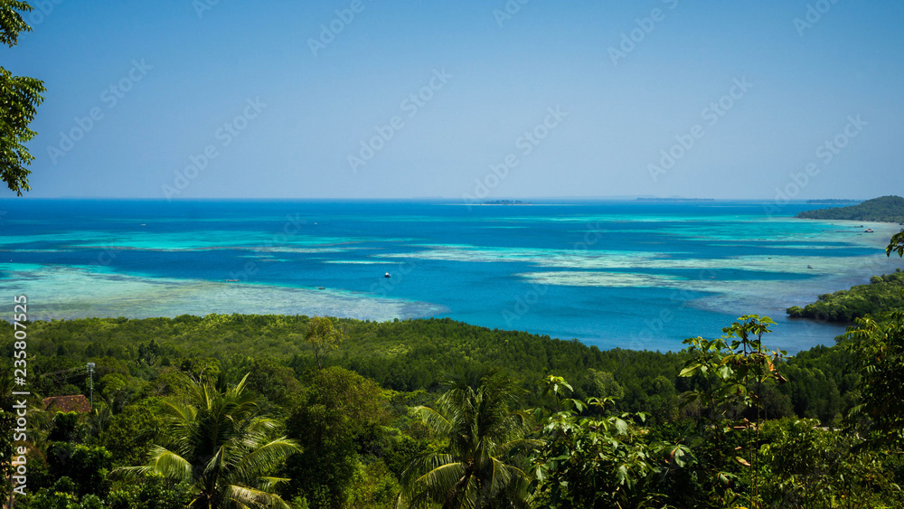 mountain view with green forest and tree palm with blue sea in distance in karimun jawa