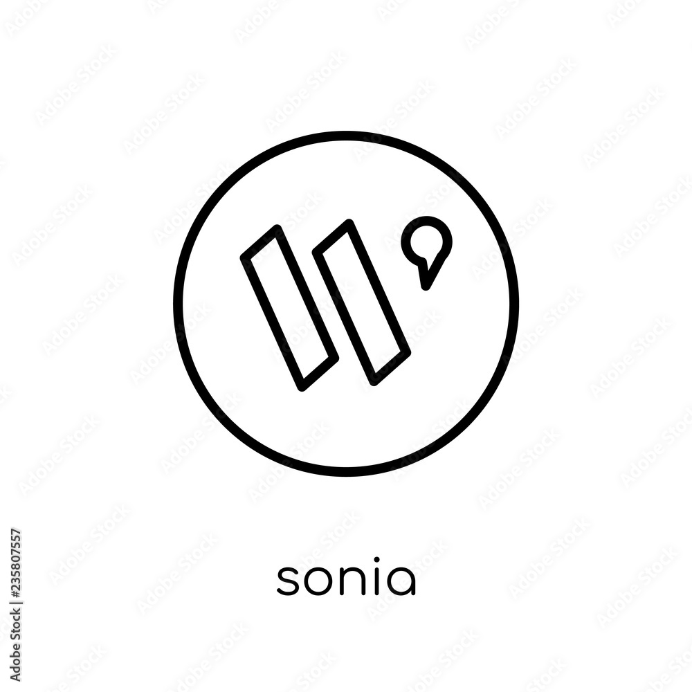 Sonia icon. Trendy modern flat linear vector Sonia icon on white background from thin line business collection Sonia icon. Trendy modern flat linear vector Sonia icon on white background from thin line business collection