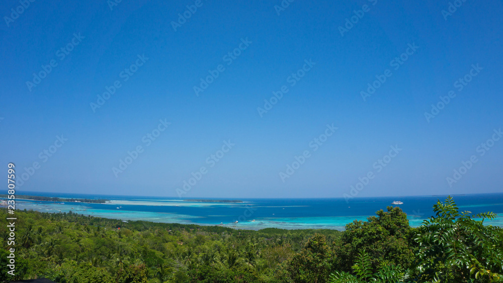 tree palm forest with blue water sea in background in karimun jawa