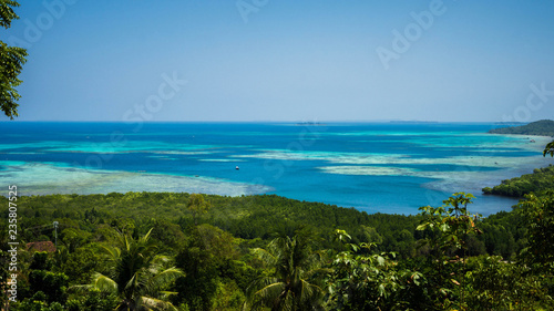mountain view with green forest and tree palm with blue sea in distance in karimun jawa © maslakhatul