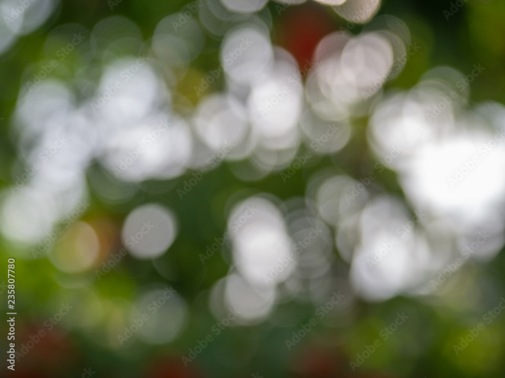 green bokeh background. green bokeh background.