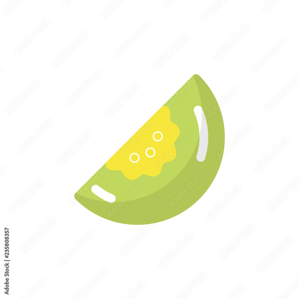 melon icon vector flat style. fruit icon melon icon vector flat style. fruit icon