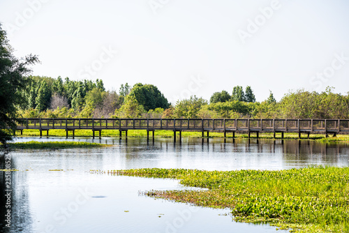 Landscape of wooden boardwalk bridge in marsh swamp, wetlands in Paynes Prairie Preserve State Park in Gainesville, Florida photo