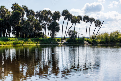 Reflection of palm trees and deep hole famous alligator lake pond in Myakka River State Park, Sarasota, Florida