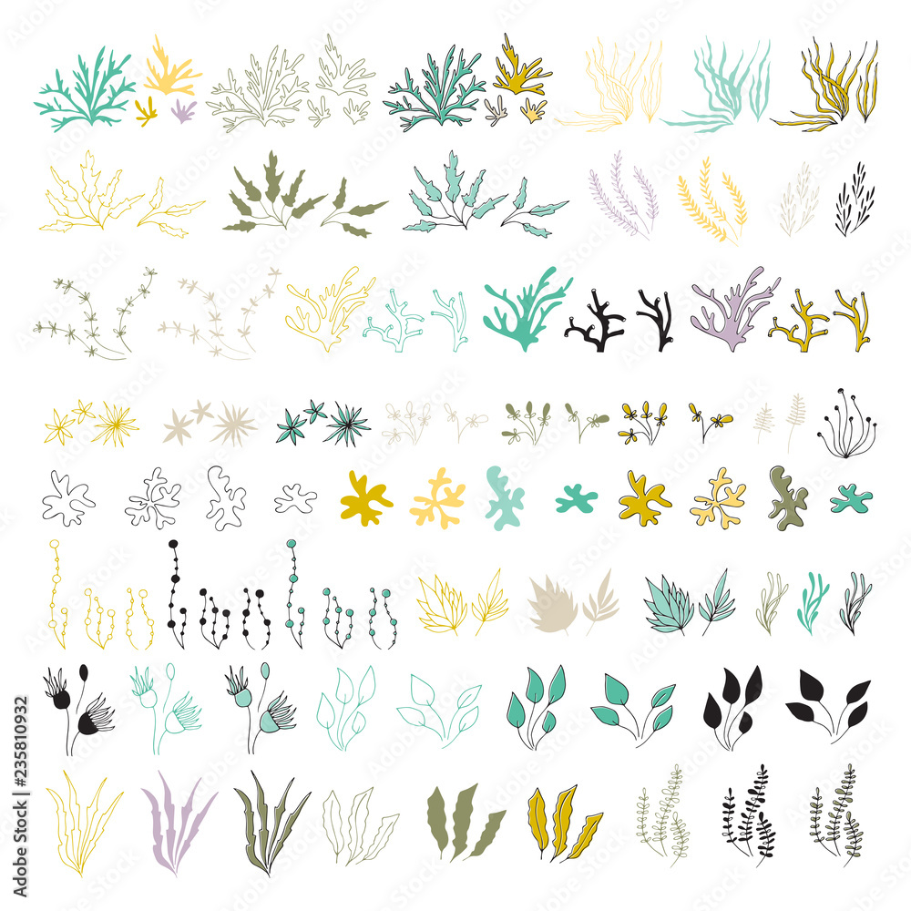 Fototapeta premium Vector set of hand drawn seaweeds