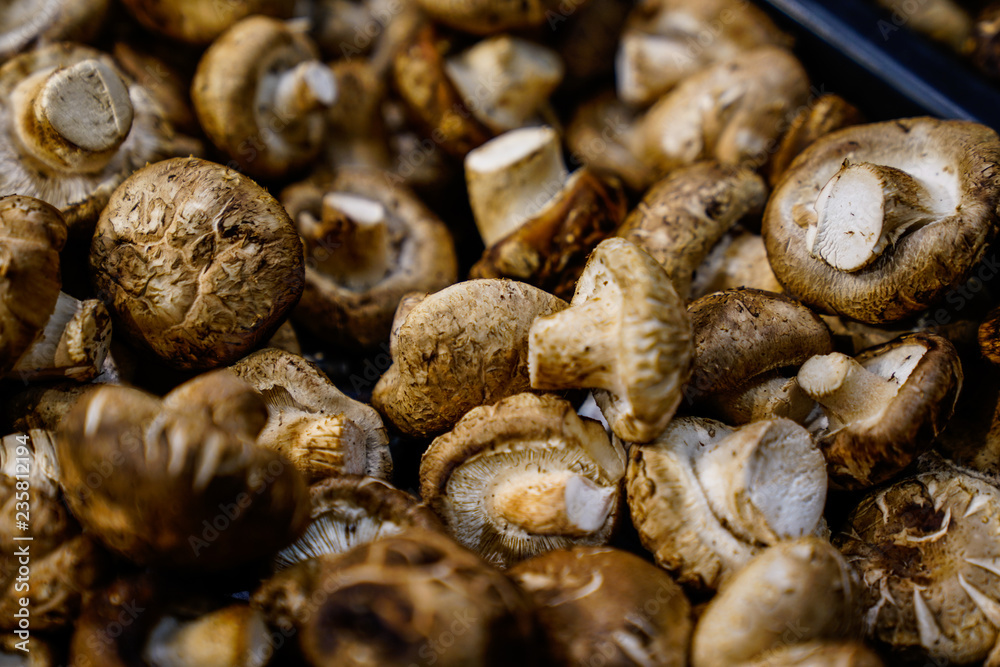 mushrooms in a pan mushrooms in a pan