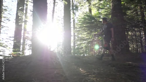Sun flares through trees as man walks past trees photo