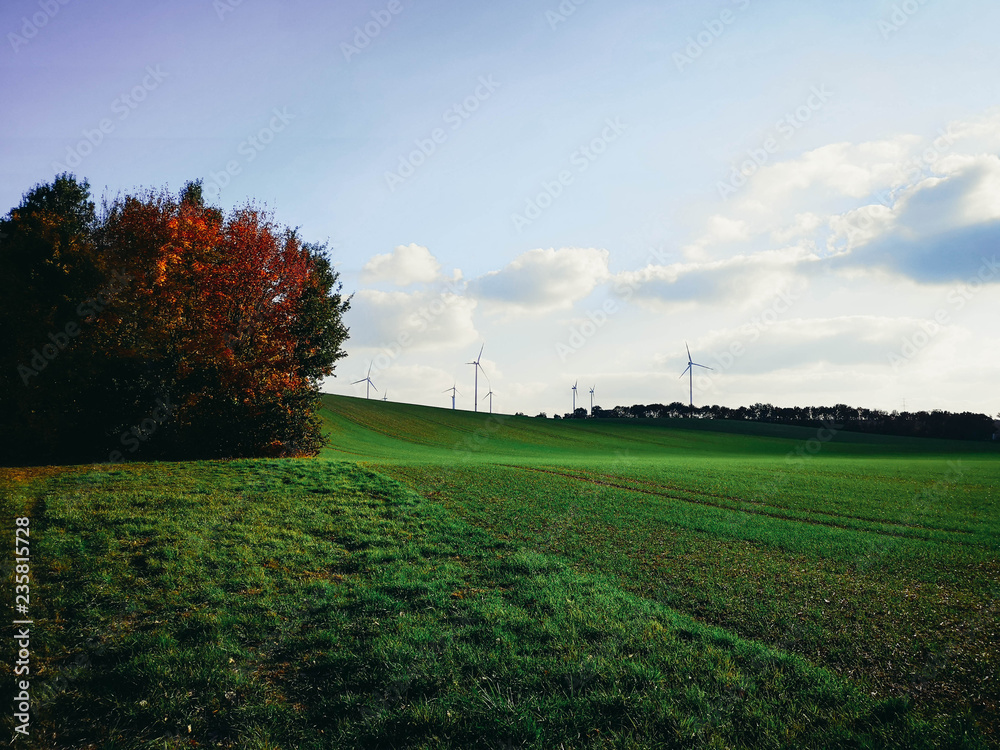 Obraz premium Herbstlandschaft