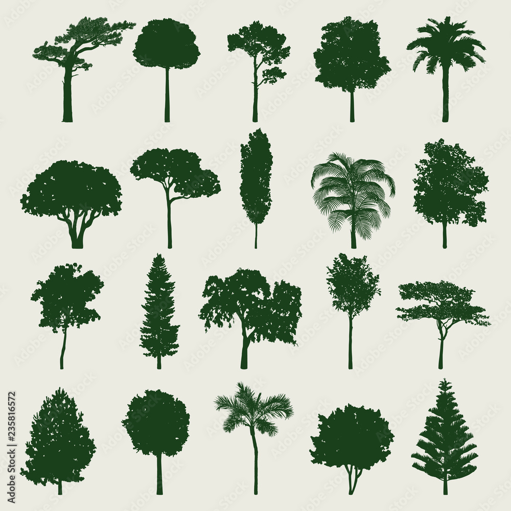 Fototapeta premium Collection of tree silhouettes vector