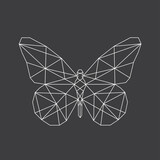 Linear illustration of a butterfly