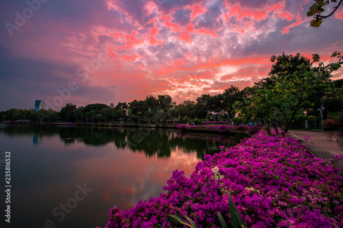 Bangkok-Benchakiti Park, Suan Pa Benjakitti, is a large park, popular for exercise in the morning and evening, and also green trees, flowers to relax, sight, Thailand. © bangprik