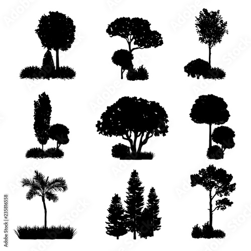 Collection of tree and shrub silhouettes vector