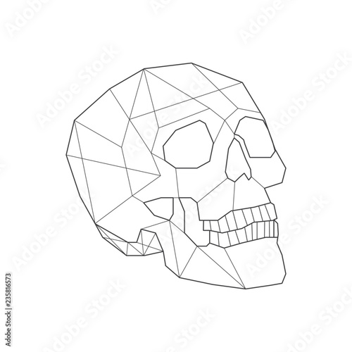 Linear illustration of a skull