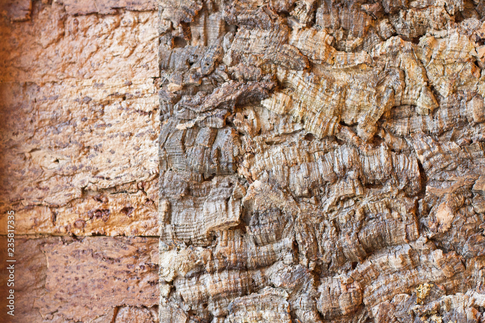 texture wood background texture wood background