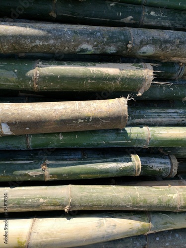 Fototapeta Naklejka Na Ścianę i Meble -  bamboo thailand background texture