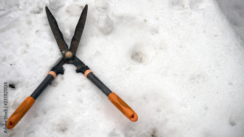 Garden scissors in the snow.