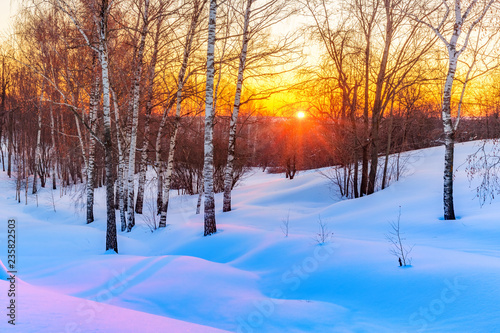 Red sunset in frozen winter forest © sborisov