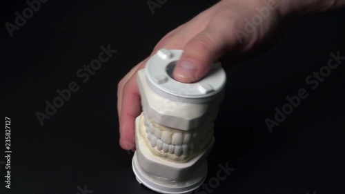 Hand showing wax build up of teeth. This is a dental model being displayed. photo