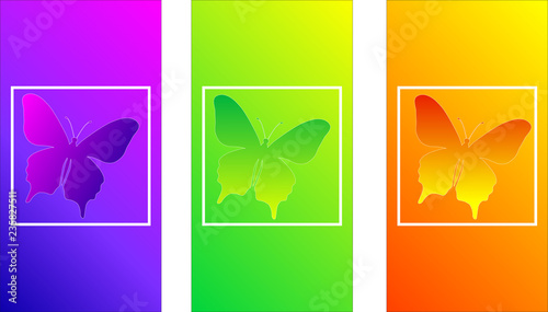 Soft color gradients, insect butterfly, modern design for a phone screen, wavy color, iridescent smooth design texture, smooth vertical stripes, square background, new bright summer color, smooth bend