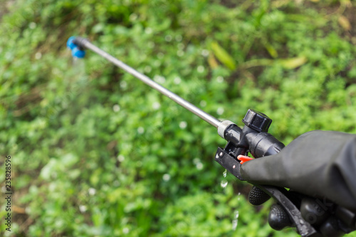 Farmers are spraying herbicide on garden