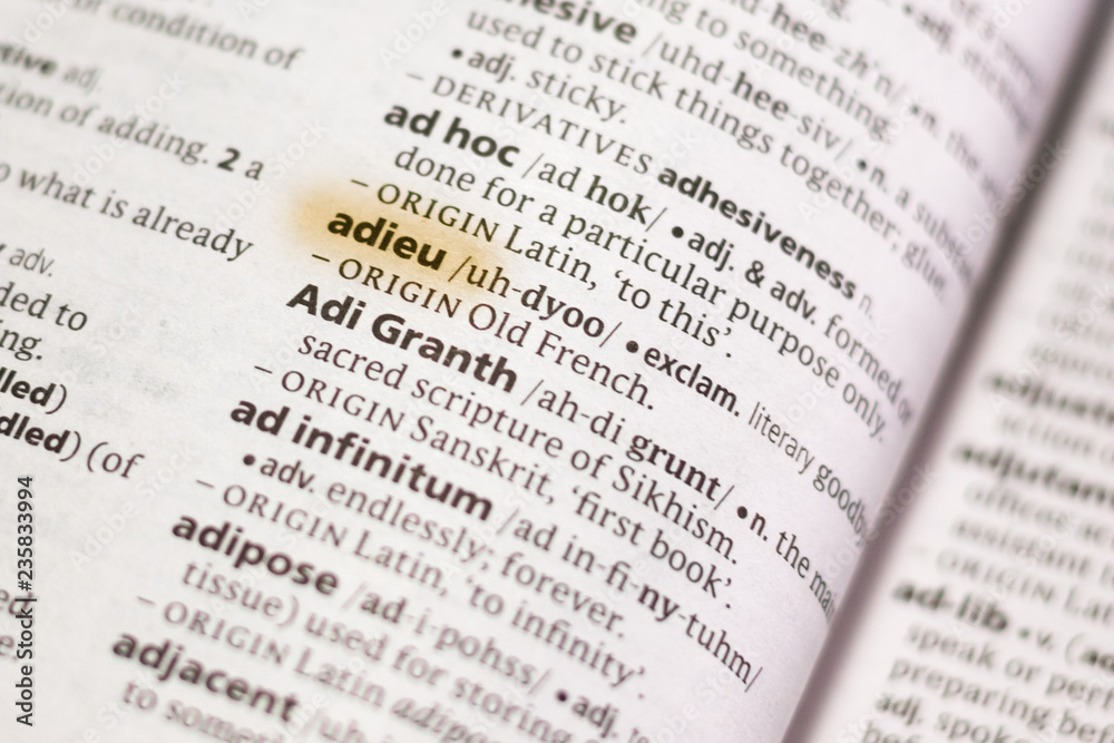 The word or phrase Adieu in a dictionary. The word or phrase Adieu in a dictionary.