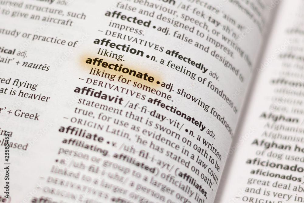 The word or phrase Affectionate in a dictionary. The word or phrase Affectionate in a dictionary.