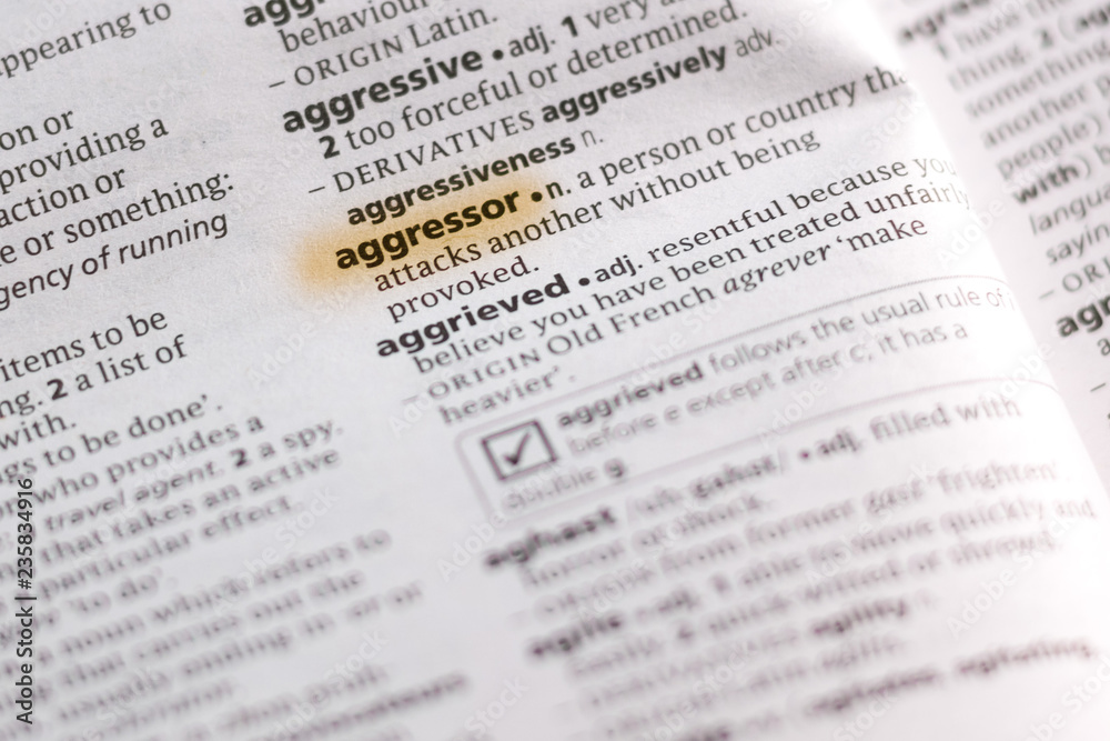 The word or phrase Aggressor in a dictionary. The word or phrase Aggressor in a dictionary.