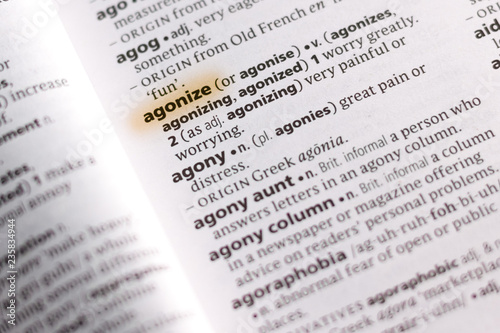 The word or phrase Agonize in a dictionary.