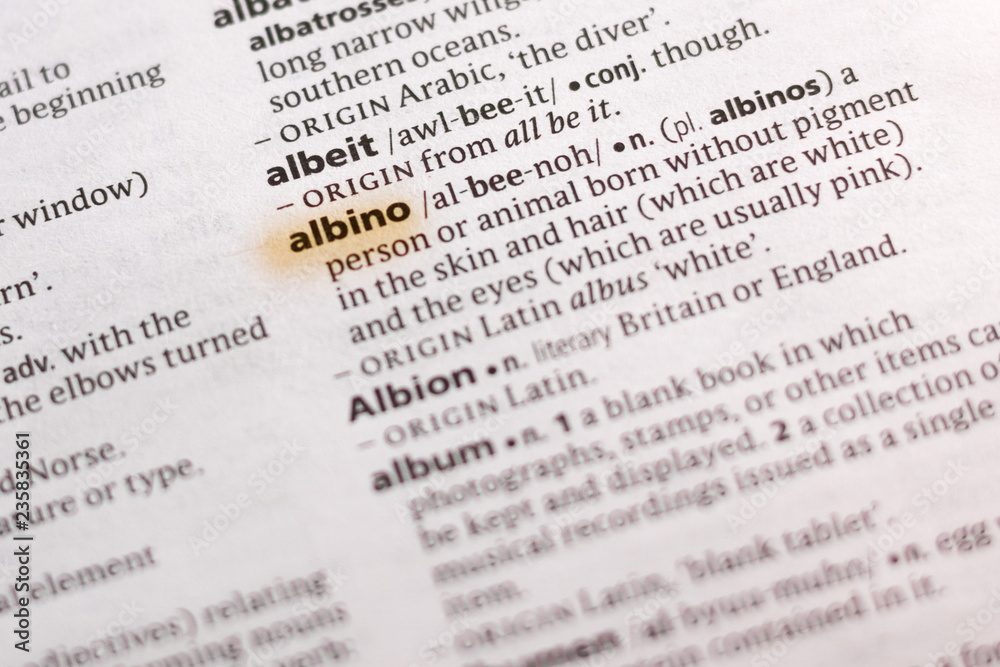 The word or phrase Albino in a dictionary. The word or phrase Albino in a dictionary.