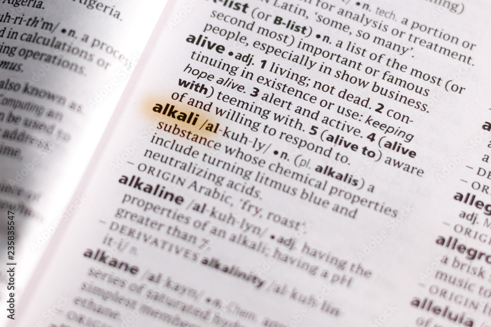 The word or phrase Alkali in a dictionary. The word or phrase Alkali in a dictionary.