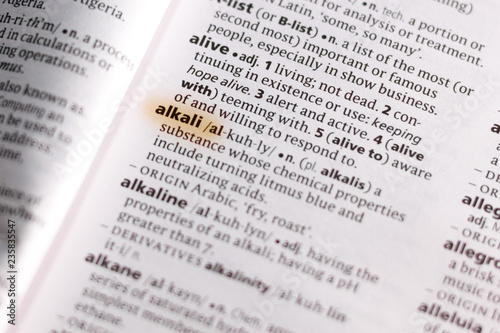 The word or phrase Alkali in a dictionary.