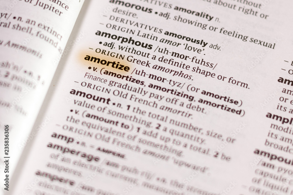 The word or phrase Amortize in a dictionary. The word or phrase Amortize in a dictionary.