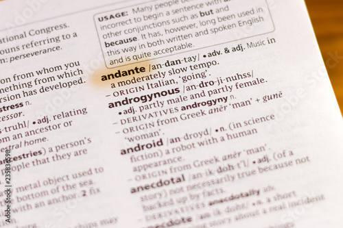 The word or phrase Andante in a dictionary. photo