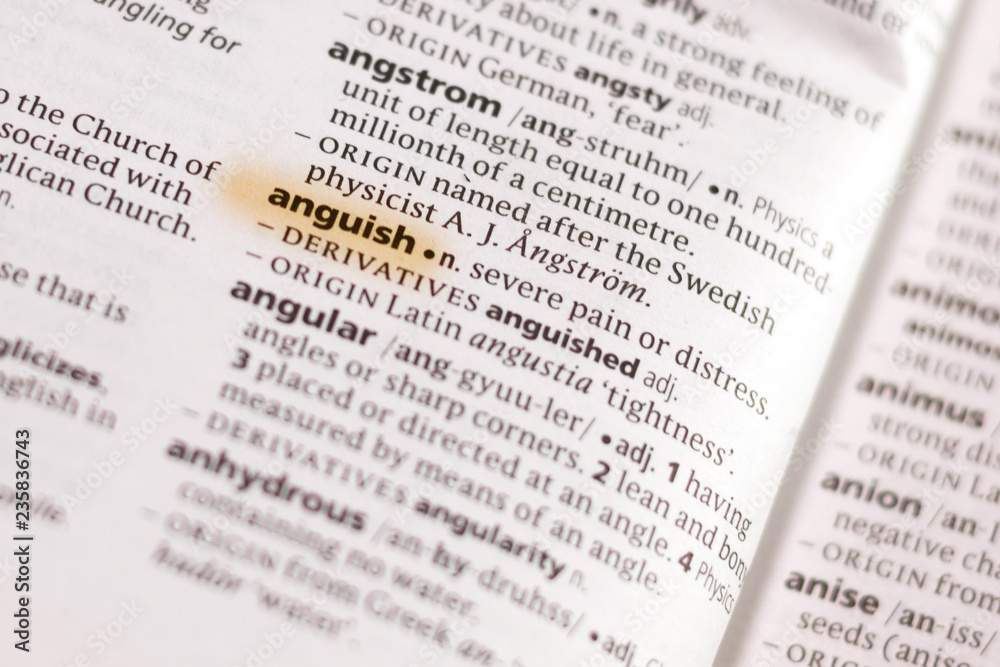 The word or phrase Anguish in a dictionary. The word or phrase Anguish in a dictionary.