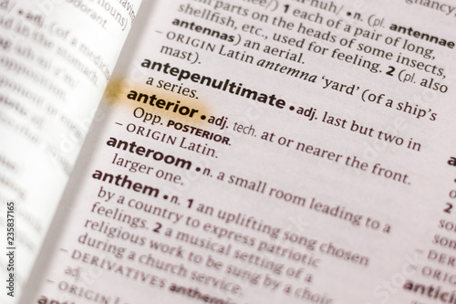 The word or phrase Anterior in a dictionary.