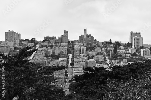 Majestic black and white photograph of the city of San Francisco  California