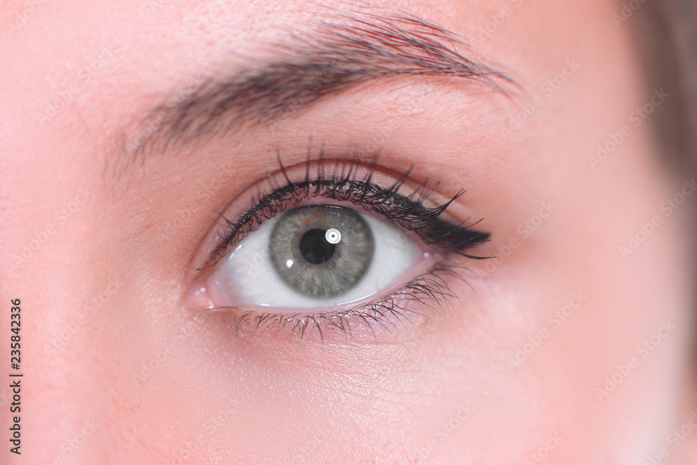 Obraz premium close up. beautiful women eye. macro image
