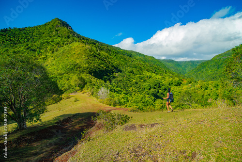Ile Maurice - Parc National des Gorges de Rivière Noire - Point de vue